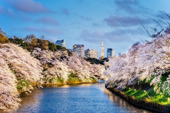 Tokyo Private Tour by Vehicle with English-Speaking Chauffeur - Price and value: $468.91 per group, up to 4 people