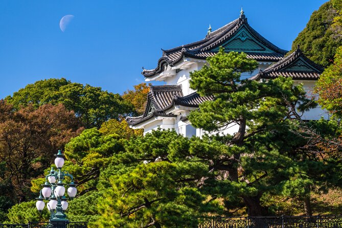 Tokyo Private Tour! Edo Castle & Imperial Palace East Gardens - Key highlights worth your attention
