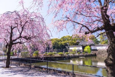 Tokyo Private Tour! Edo Castle & Imperial Palace East Gardens