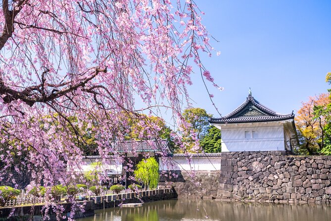 Tokyo Private Tour! Edo Castle & Imperial Palace East Gardens - Value and price: is $65.41 per person a fair deal?