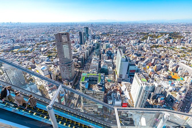 Tokyo Private Tour: One Day Highlights and Optional Shibuya Sky - Key highlights worth your attention