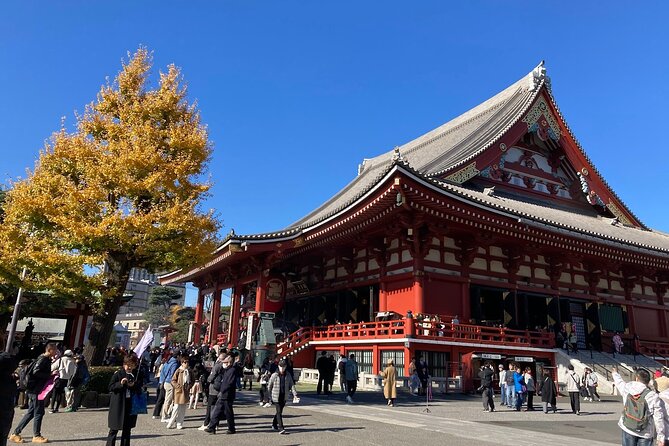 Tokyo Private Tour: One Day Highlights and Optional Shibuya Sky - Sumida Park for Skytree views, then the train transition