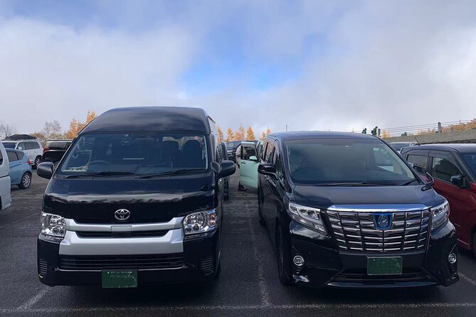 Tokyo Private Transfer from or to Narita Airport (NRT) - Narita To Central Tokyo, Without The Subway Headaches