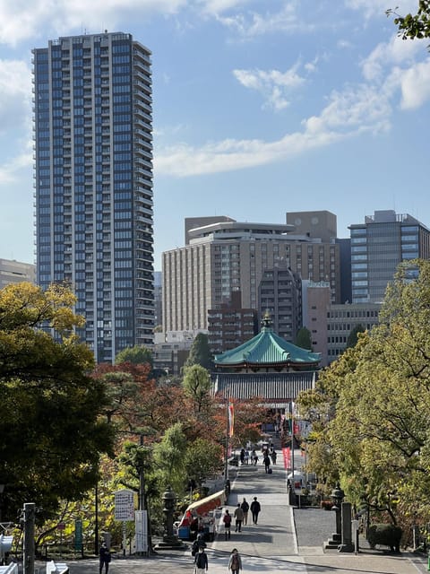 TOKYO Private visit guide Speaking French - A 5-hour Tokyo reset with Clément’s French-speaking guidance
