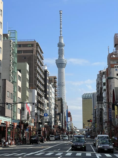 TOKYO Private visit guide Speaking French - Who this Tokyo private guide suits best