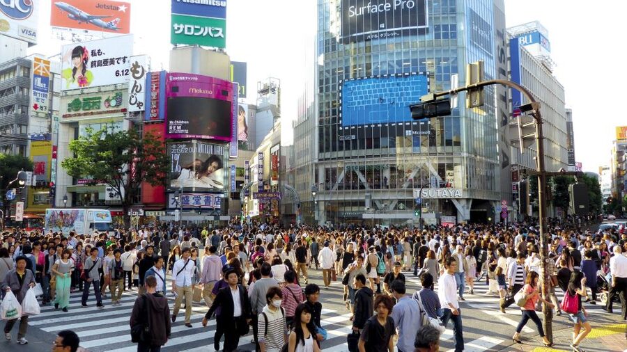 Tokyo: Private Walking Tour with a Local - Key things that make this tour work