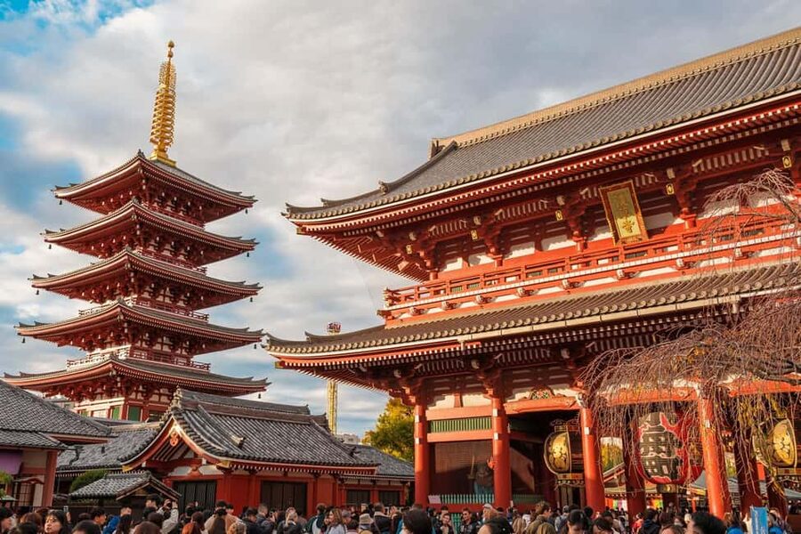 Tokyo: Private Walking Tour with a Local Guide - Key highlights that make this Tokyo tour work