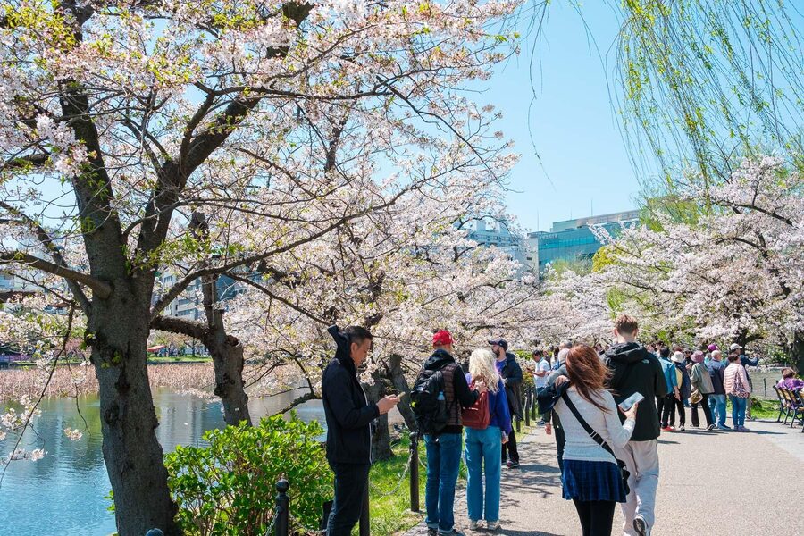 Tokyo: Private Walking Tour with a Local Guide - Akihabara to Shibuya: tech culture, big intersections, and crowd strategy