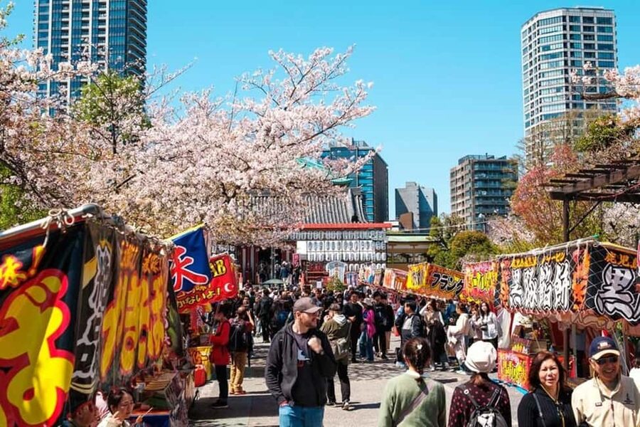 Tokyo: Private Walking Tour with a Local Guide - Meiji Shrine and the Imperial Palace grounds: spiritual calm and formality