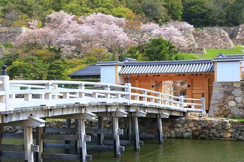 Tokyo: Pvt. Tour - Edo Castle & Imperial Palace East Gardens - Who this tour suits best in Tokyo