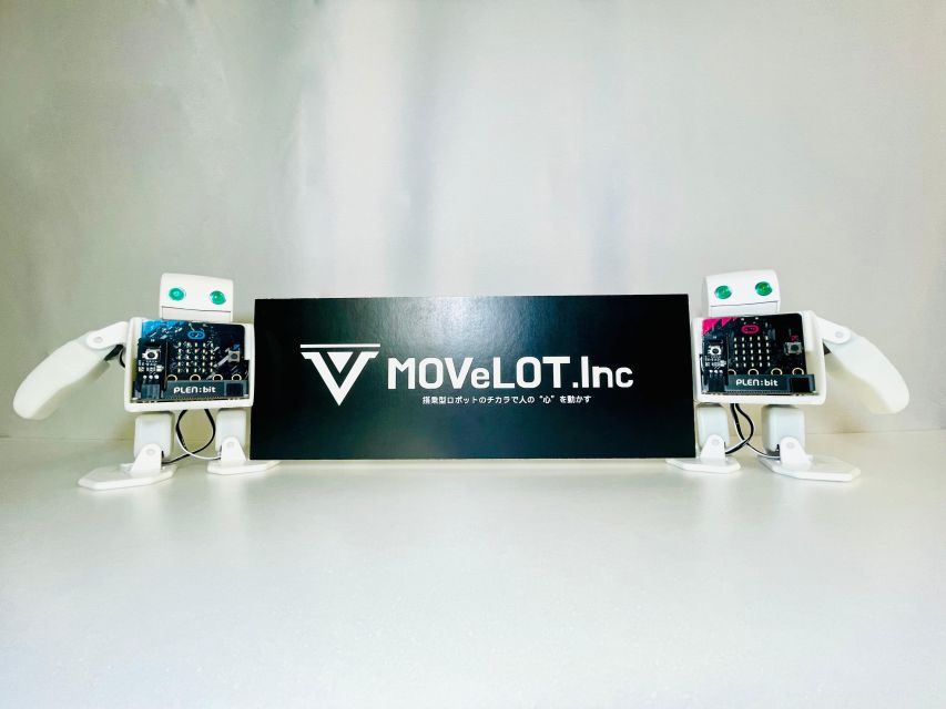 Tokyo: Robot Piloting Attraction Ticket - Value check: is $32 worth it for a prototype robot experience?