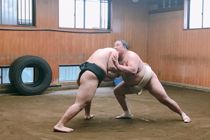 Tokyo Ryogoku Sumo Morning Practice + Photo Shoot with Wrestlers - Photo Rules and Tour Photos: A Clear Expectations Check