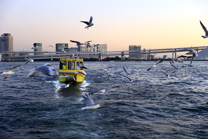 Tokyo: Scenic Bay Cruise with Local Guide on Private Boat - Small Group Reality: Max 7 Travelers