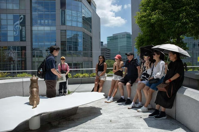 Tokyo: Shibuya Crossing & Hidden Streets Walking Tour - Should You Book This Shibuya Walking Tour?
