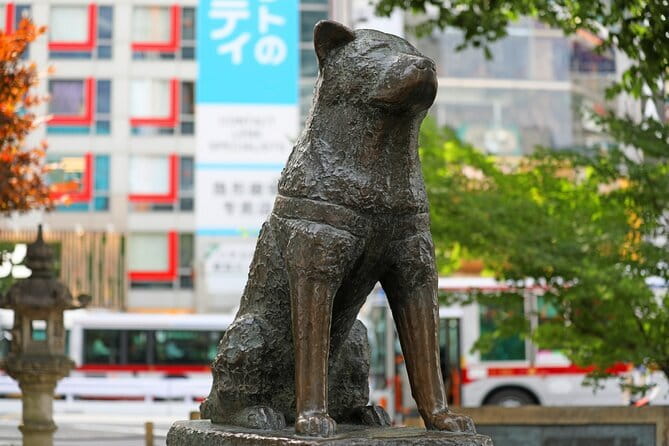 Tokyo: Shibuya Highlights Walking Tour & Secret View Spot - Logistics that keep things simple