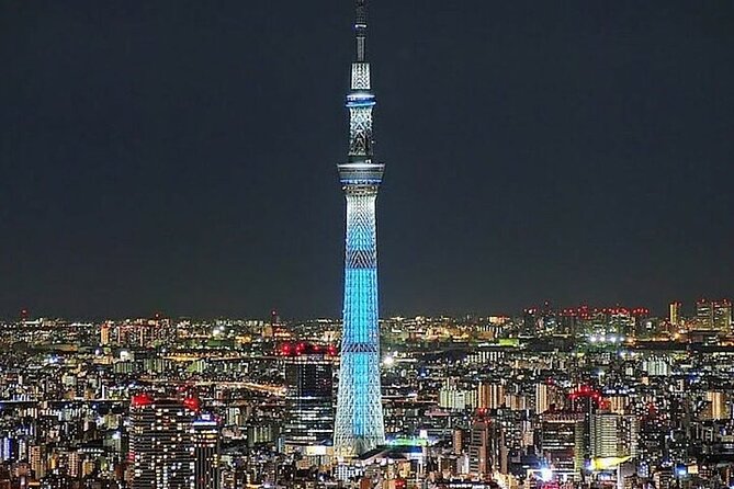 Tokyo Sightseeing/ City Tour by Private Car with English Guide - Key points to know before you go