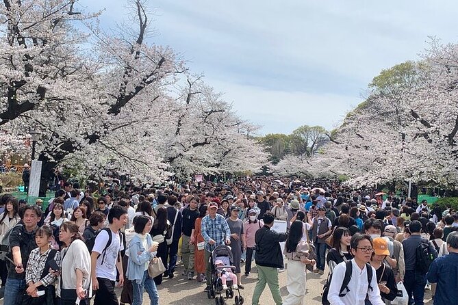 Tokyo Sightseeing/ City Tour by Private Car with English Guide - Tokyo Skytree: the one ticket you should plan for
