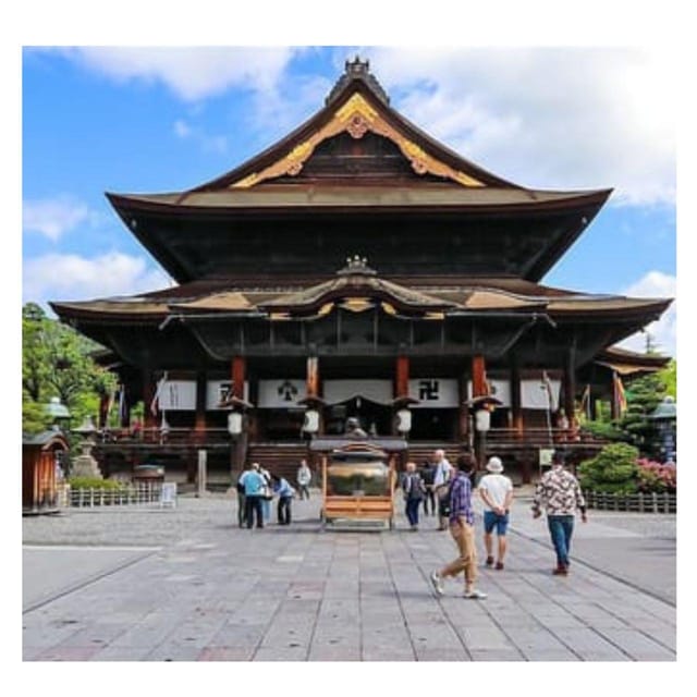 Tokyo: Snow Monkey & Nagano Customiseable Private Day Tour - Luxury car comfort for a Tokyo to Nagano day