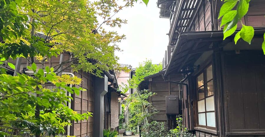 Tokyo:Stroll in Old traditional culture towns~Yanaka & Nezu - Nezu Shrine: torii gates, a calmer pace, and worship that feels lived-in