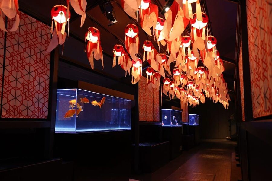 Tokyo: Sumida Aquarium Entry Ticket - Photo Rules, Lunch Plans, and What to Bring