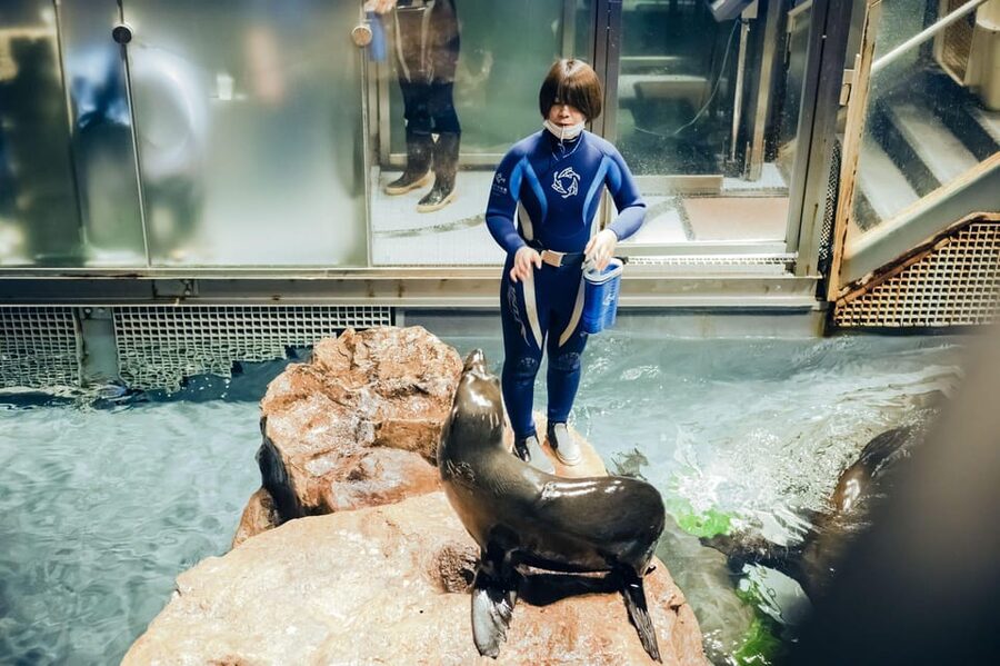 Tokyo: Sumida Aquarium Entry Ticket - Hours You Can Trust, Plus the May 23, 2025 Change