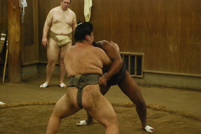 Tokyo: Sumo Morning Practice -Stable Visit Tour with a Guide - Q&A and Wrestler Photos: The Best Way to Connect