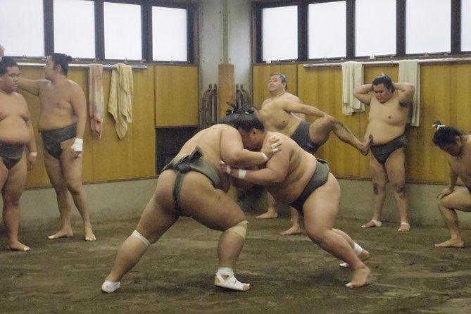 Tokyo Sumo Morning Practice Tour at Stable - Morning practice at a Tokyo sumo stable: what you actually see