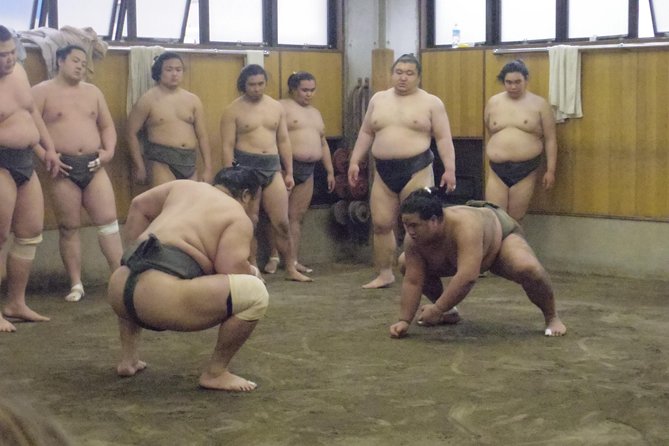 Tokyo Sumo Morning Practice Tour at Stable - Should you book this Tokyo sumo morning practice tour?