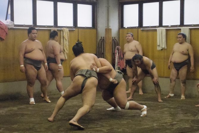 Tokyo Sumo Morning Practice Tour at Stable - Inside the training session: the flow of drills, bouts, and respect