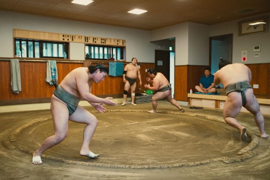 Tokyo: Sumo Morning Practice Tour at Sumida City - Q&A with the stable master, plus photos after practice