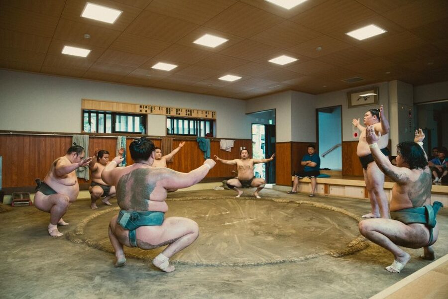 Tokyo: Sumo Morning Practice Tour at Sumida City - Best months to catch sumo morning practice in Tokyo