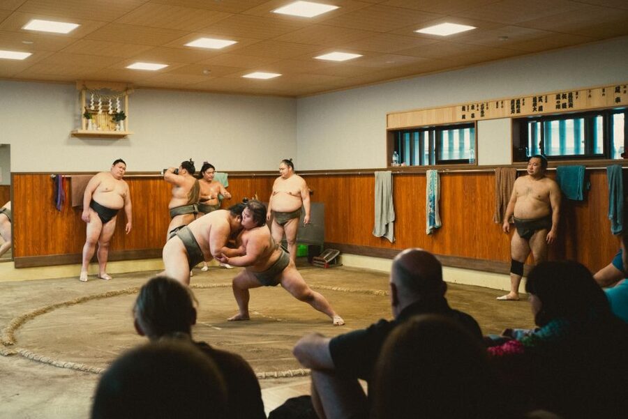 Tokyo: Sumo Morning Practice Tour at Sumida City - Who should book this sumo morning practice tour, and who should skip