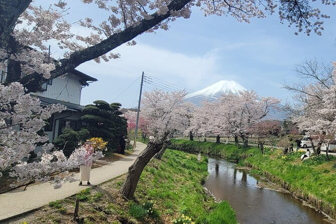 Tokyo Sumo Morning Practice Tour w/ Ring-Side Seat + Photo Shoot - Stop 2: Kiyosumi Gardens for a calm finish (30 minutes)