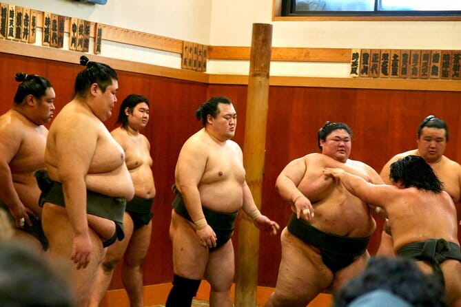 Tokyo Sumo Morning Practice: Viewing & Exclusive Interaction - Meeting at Narihira Park, then getting your sumo manners right