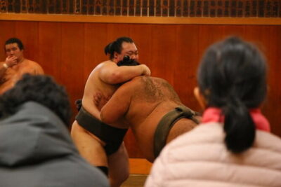 Tokyo Sumo Morning Practice: Viewing & Exclusive Interaction