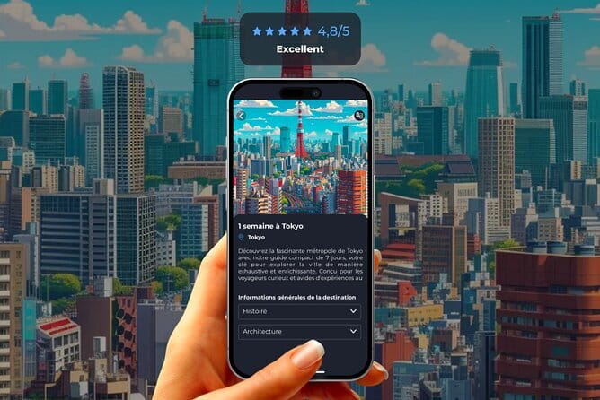 Tokyo Sumo Morning Practice: Viewing & Exclusive Interaction - Price and value: what $93 buys you in real access