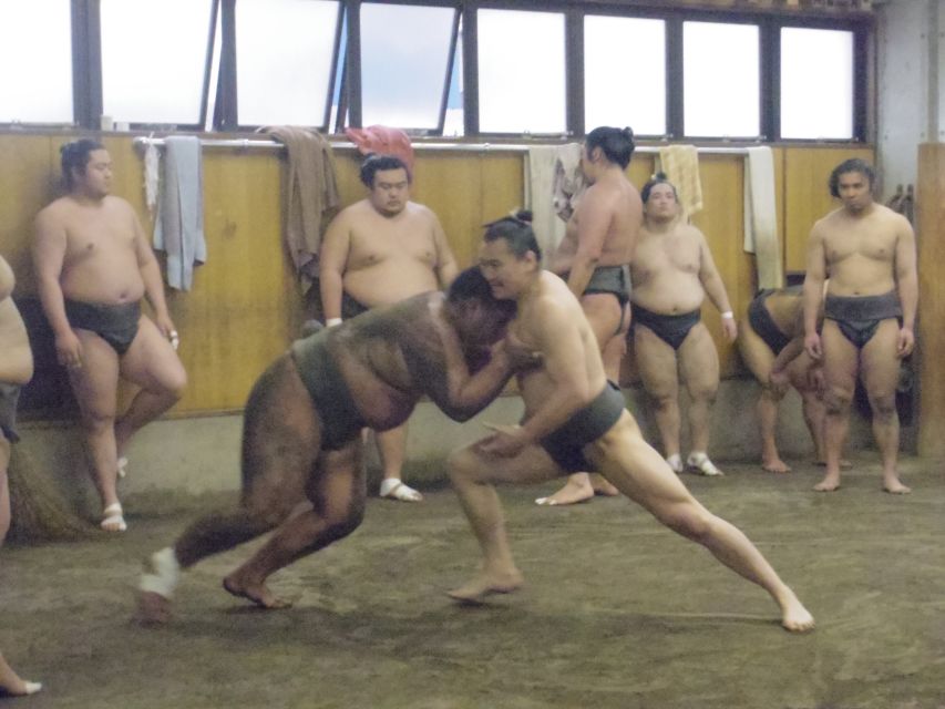Tokyo: Sumo Morning Practice Viewing Tour - When the Stable Master or Coach Chimes In: Q&A and Real Personality