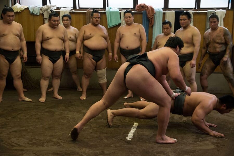 Tokyo: Sumo Morning Practice Viewing Tour - Logistics and Timing: Making the Rest of Your Tokyo Day Work
