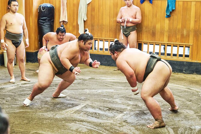 Tokyo: Sumo Morning Practice Viewing Tour at a Real Stable - Key things to know before you go