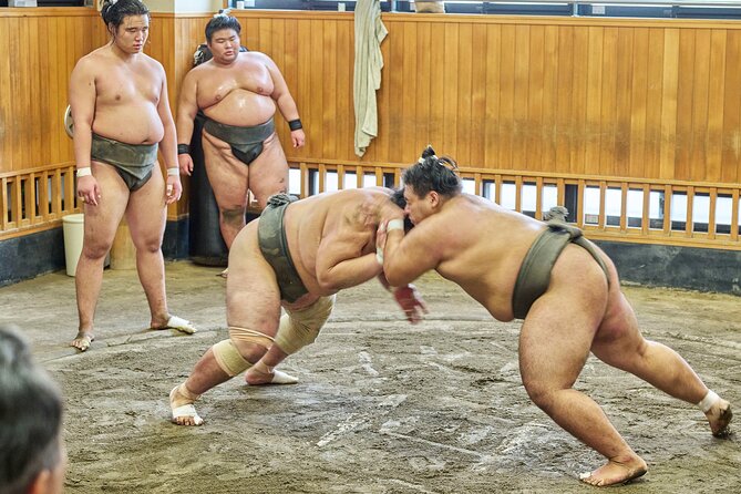 Tokyo: Sumo Morning Practice Viewing Tour at a Real Stable - Your Guide Turns Sumo Chaos Into Clear Meaning