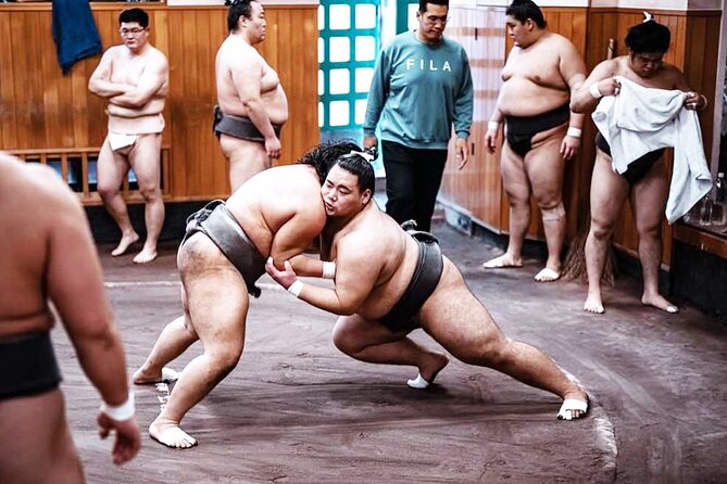 Tokyo: Sumo Morning Practice Viewing Tour at a Real Stable - After the Session: Use the Morning for Food and Questions
