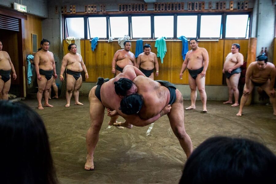 Tokyo: Sumo Morning Practice Viewing Tour - Entering a Working Sumo Stable: Rules You Actually Need to Know