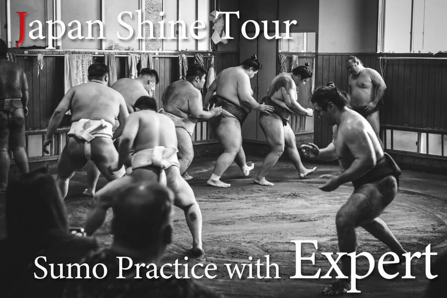 Tokyo: Sumo Morning Practice with journalists. Not fake show - The 2-Hour Practice Window: What You’ll Watch and Why It’s Different