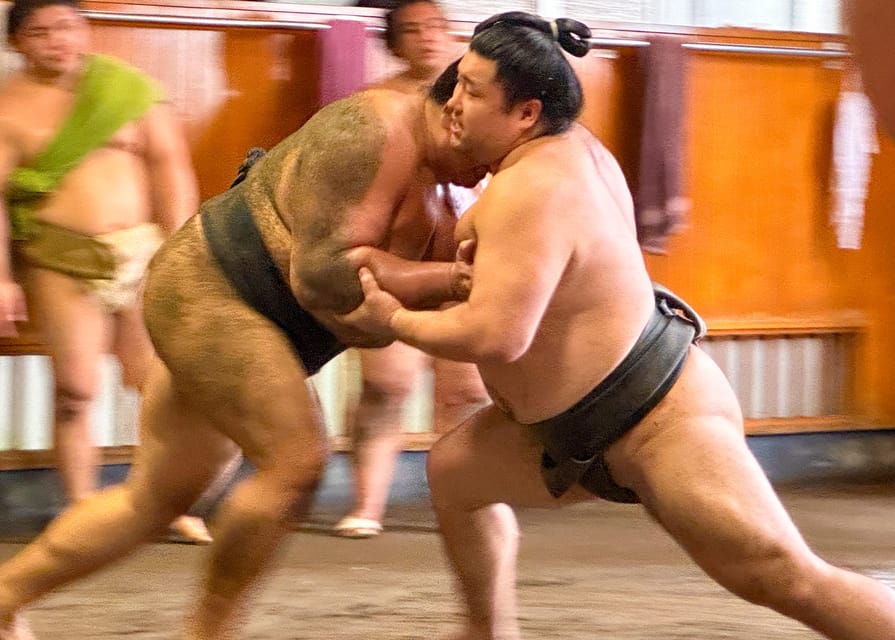 Tokyo: Sumo Morning Practice with journalists. Not fake show - The Ryōgoku Edo NOREN Stop: Where Sumo Lives in the Neighborhood