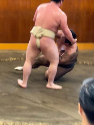 Sumo Morning Practice with Photo Banzuke and Guide