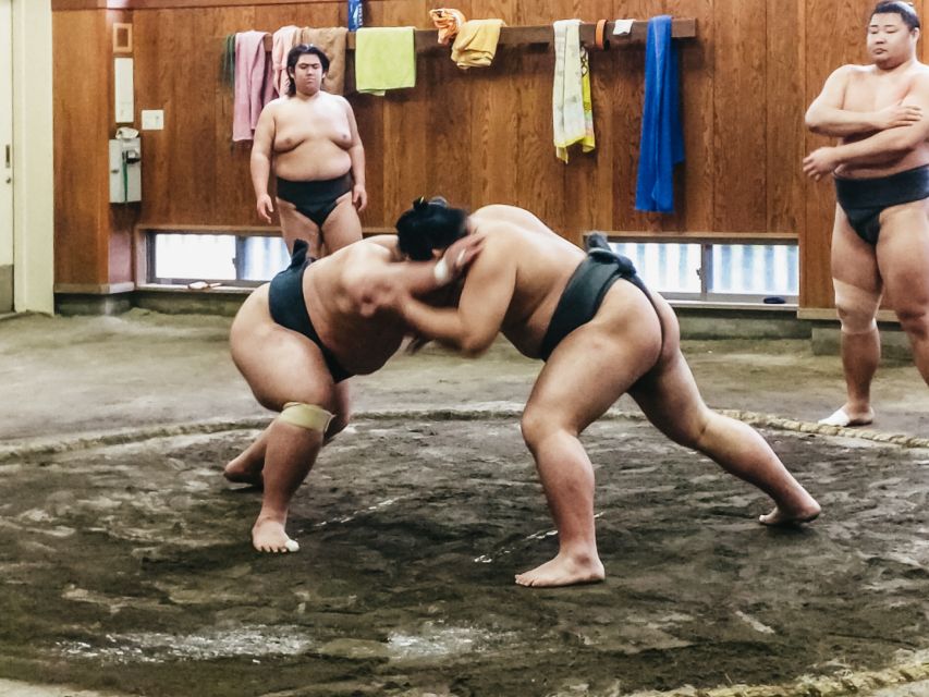 Tokyo: Sumo Morning Training Visit - Meeting point changes, late rules, and stable etiquette you must follow