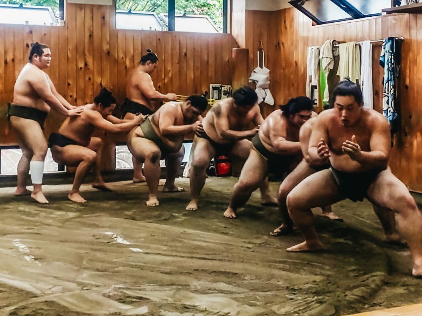 Tokyo: Sumo Morning Training Visit - Photo rules and the end-of-training group picture