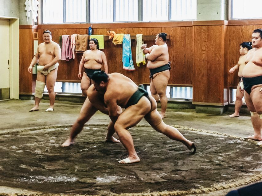 Tokyo: Sumo Morning Training Visit - Who should book this Tokyo sumo training visit, and who should reconsider