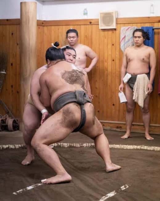 Tokyo: Sumo Show and Experience in Shinjuku - Price and Value: Why $69 Can Feel Like a Cultural Lesson