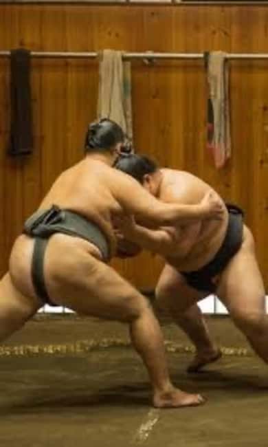 Sumo Show and Experience in Shinjuku